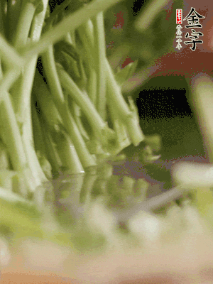 新鮮豌豆苗割下洗凈。